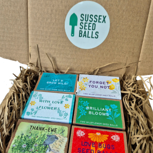 Gift Set of 6 Mini Wildflower Seed Ball Boxes