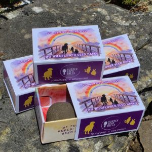 "Rainbow Bridge - Sorry For Your Loss" sustainable wildflower seed ball favours